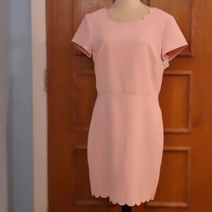 WOMEN'S SIZE 12 PINK DRESS WITH SCALLOPED NECKLINE AND HEM